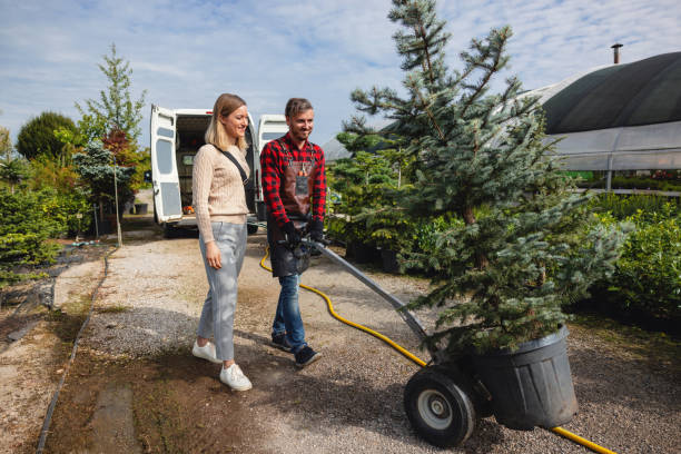 Best Tree Mulching  in Sparta, TN